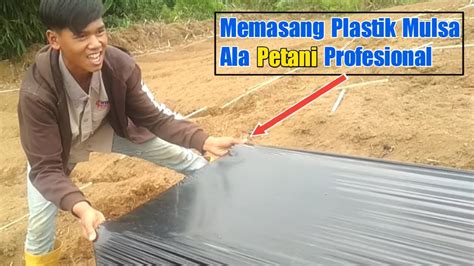 Begini Cara Seorang Profesional Memasang Mulsa How To Install Mulch