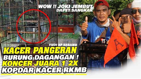 Wow Kacer Pengeran Juara X Burung Dagangan Bawa Hoki Kopdar