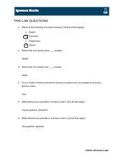 Chapter Igenous Rocks Lab Workbook Docx Igneous Rocks Pre Lab