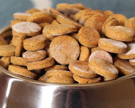 5 Healthy Dog Biscuit Recipes | UK Pets