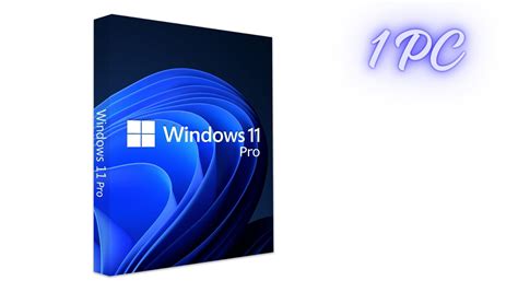 Windows 11 Professional OEM License Key - 1 PC