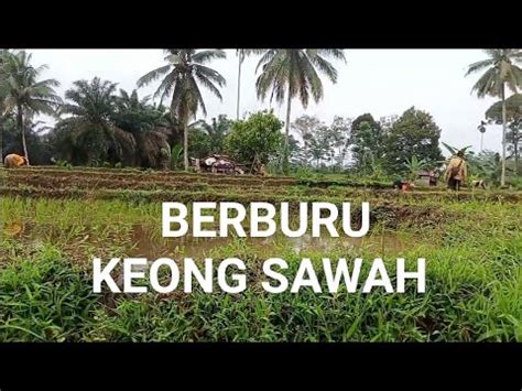 Menikmati Sate Keong Youtube