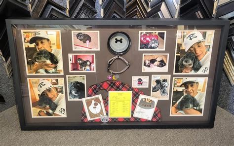 Mans Best Friend Shadow Box Frame De Art