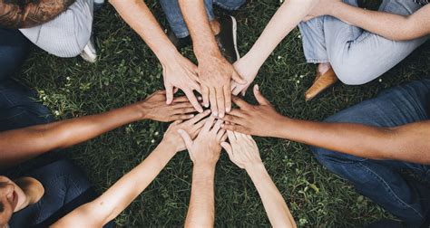 Team Building en Camargue 20 Activités pour Renforcer la Cohésion d