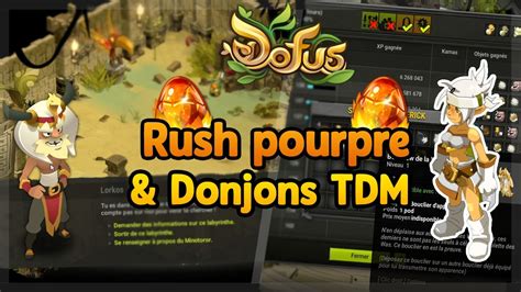 DOFUS ON DEMARRE LES QUETES POUR LE POURPRE X SUITE DE TOUR DU MONDE