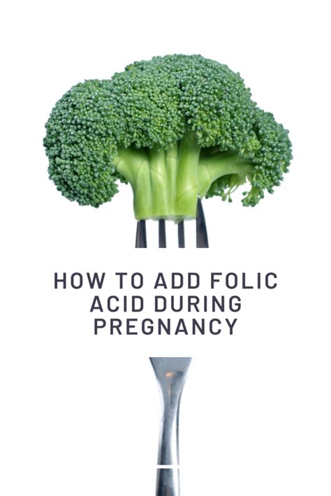 Taking Folic Acid During Pregnancy