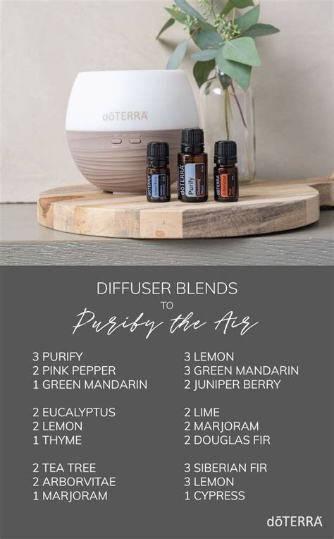 Diffuser Blends For Cleansing The Air Artofit