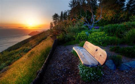 bench with sea view sunset-Natural landscape widescreen Wallpaper ...