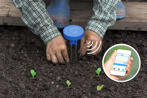 Wide Rollout Of IoT SoilMoisture Sensors In The Works Sensoterra