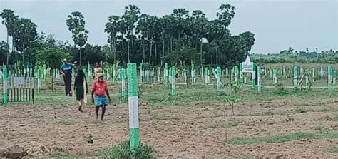 Agricultural Land Sq Ft For Sale In Madhurandagam Chennai