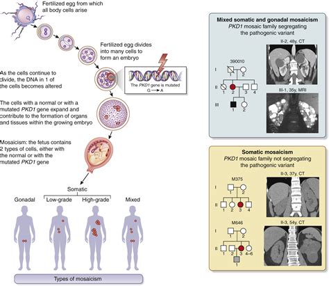 Next Generation Sequencing For Detection Of Somatic Mosaicism In