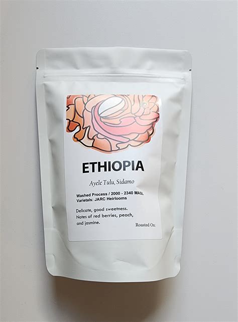 Ethiopia Washed Sidamo Ayele Tulu Cafe Moly