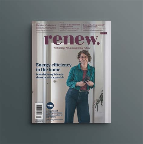 Direct PV Solar Hot Water Buyers Guide Renew