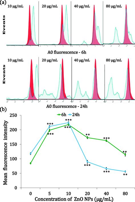 Evaluation Of Lysosomal Membrane Integrity With Acridine Orange A Flow