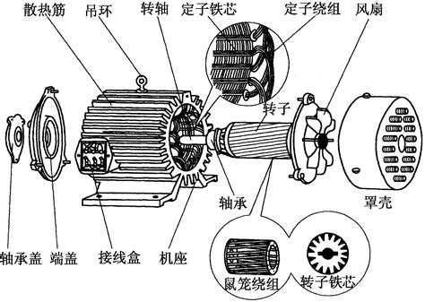 一三相交流异步电动机的结构 工厂电工操作图解 图片