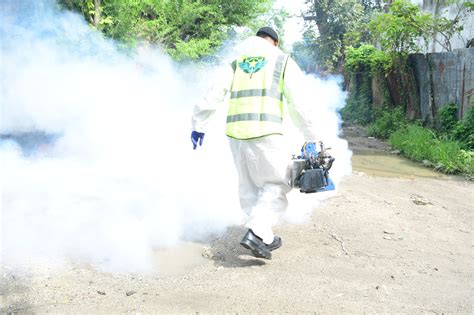 El Cesac Realiza Jornada De Fumigaci N Contra El Dengue En Brisa De