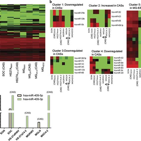 Microrna Genomic Profiling Of Cas Models From Prostate And Bone A