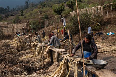 Nepal - The New York Times