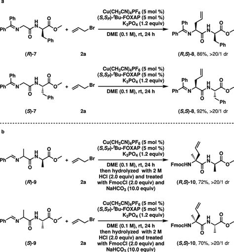 Catalytic Asymmetric Alkylation Of Chiral Dipeptides A Construction