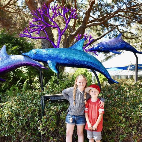 Best Things to do at SeaWorld San Diego with Kids - Make Life Lovely