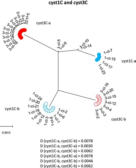 Phylogenetic Analysis Of The Combined Nucleotide Sequences Of Dis