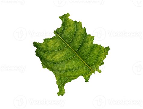 Kosovo Map Made Of Green Leaves Ecology Concept 37302849 PNG