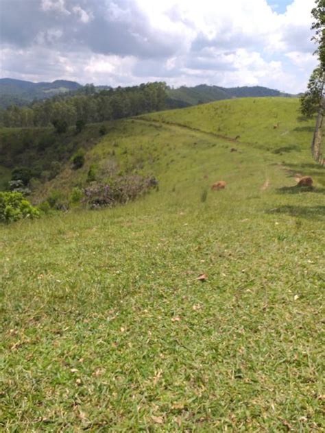 Lote Terreno Na Rua Jo O Pereira De Souza Boa Vista Em Igarat