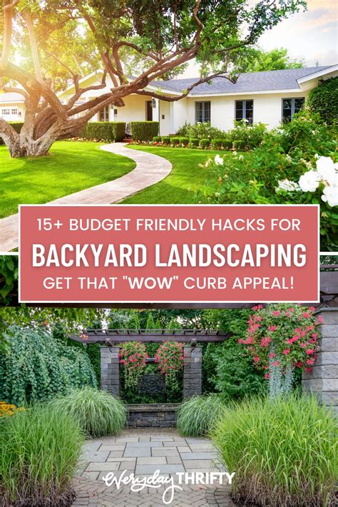 15+ Backyard Landscaping Ideas on a Budget That You NEED to Know ...