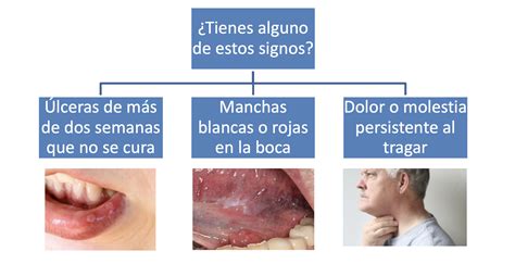 El C Ncer Oral Dentesia Cl Nica Dental En Valladolid