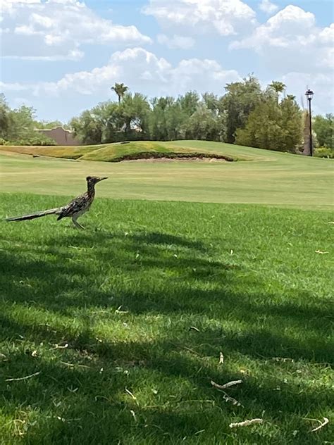 rio verde country club 3