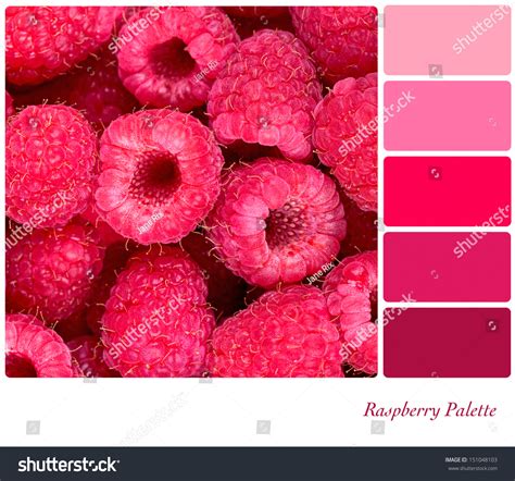 Food Color Palette Over 9428 Royalty Free Licensable Stock Photos