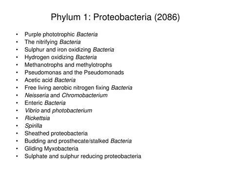 PPT Phylogenetic Tree Of The Major Lineages Phyla Of Bacteria Based