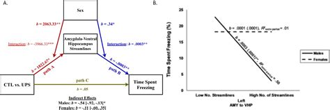 Figures And Data In Early Life Stress Causes Sex Specific Changes In Adult Fronto Limbic