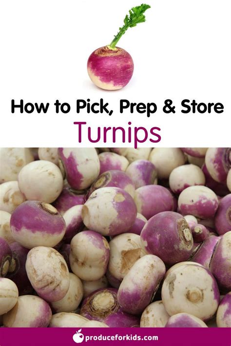 All About Turnips How To Pick Prepare And Store Produce For Kids