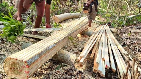 Keterampilan Menggergaji Yang Luar Biasa Membuat Reng Ukuran Cm