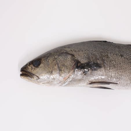 Comprar Corvina Online Pescado Blanco Fresco A Domicilio