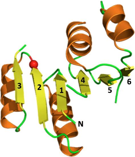 Schematic Representations Of The Architecture Of The Rossmann Fold The