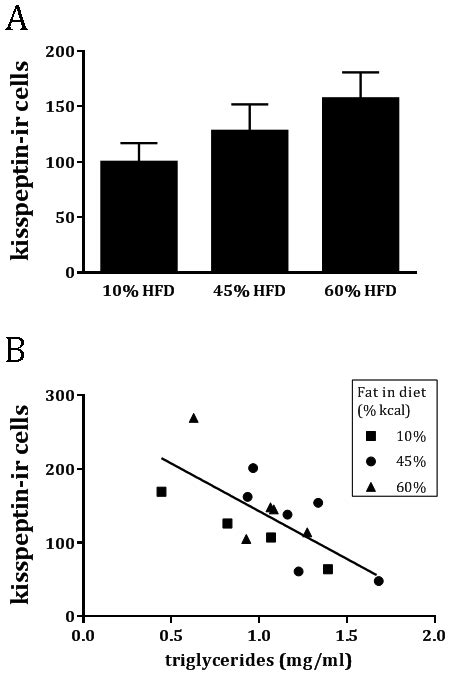 Th E Number Of Kisspeptin Immunoreactive Ir Cells In The Arcuate