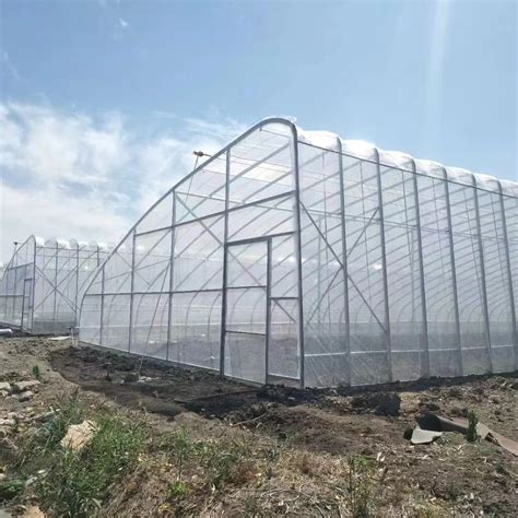 Chinese Solar Greenhouse Double Arch Galvanized Steel Structure Waterproof Warm Quilt Cold