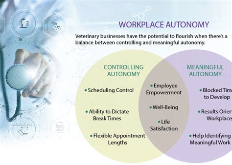 Crafting Meaningful Work in the Veterinary Workplace | Bovine Veterinarian