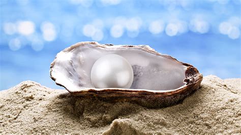 oyster-pearl – Algiers United Methodist Church