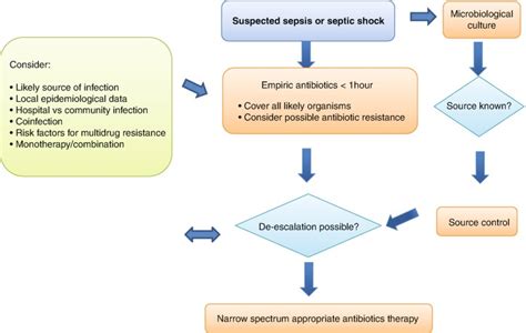 Fig 81 Flowchart Showing Infection Management In Sepsis