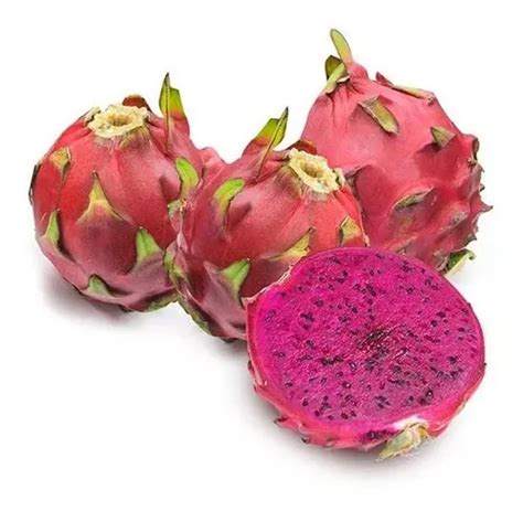 Muda De Pitaya Vermelha Da Polpa Vermelha Para Produzir Parcelamento