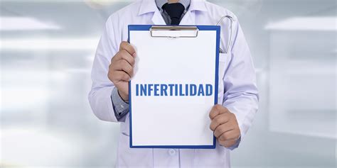 La Infertilidad Síntomas Y Definiciones De Los Problemas De Fertilidad