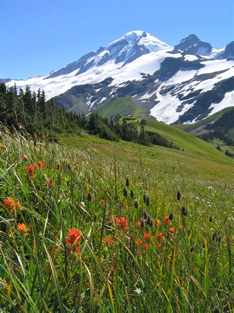 Summer Activities Around Glacier - Serene Mountain Escapes