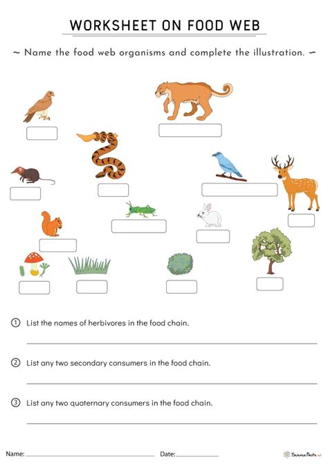 Food Web Worksheets Free Printable Worksheets Library