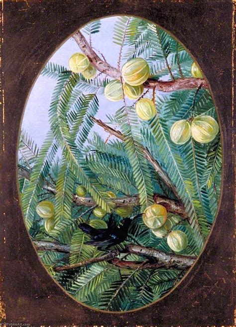 Paintings Reproductions Foliage and Fruit of Emblica officinalis, 1878 ...