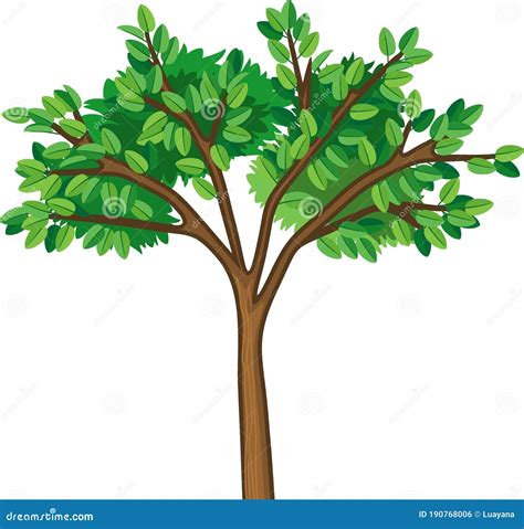 Cartoon Tree With Green Leaves Stock Vector Illustration Of Cartoon