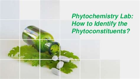 Phytochemistry Lab: How to Identify the Phytoconstituents?