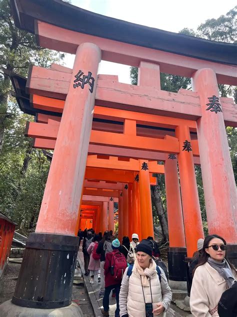 稲荷山・今熊野山・清閑寺山・清水山・東山 ヤンクミさんの京都一周トレイルの活動データ Yamap ヤマップ